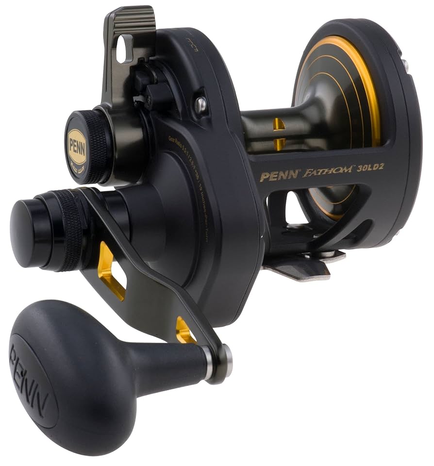 Penn Fathom Lever Drag 2-Speed Reel (30), Reels - Amazon Canada
